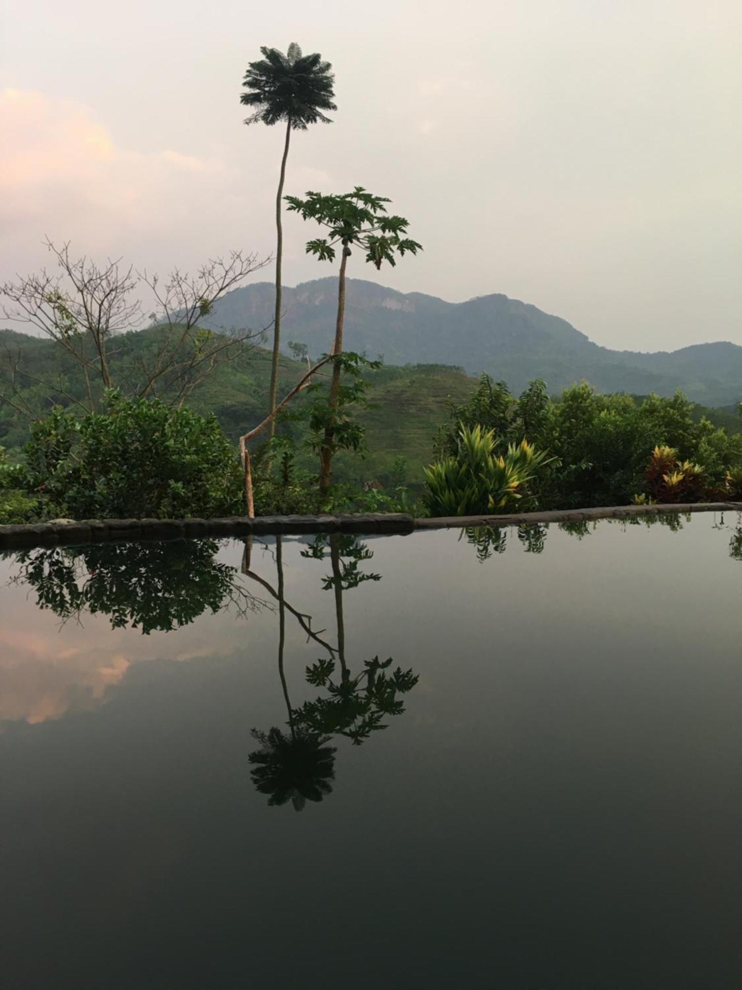Paradise Eco Garden 키둘가라 외부 사진