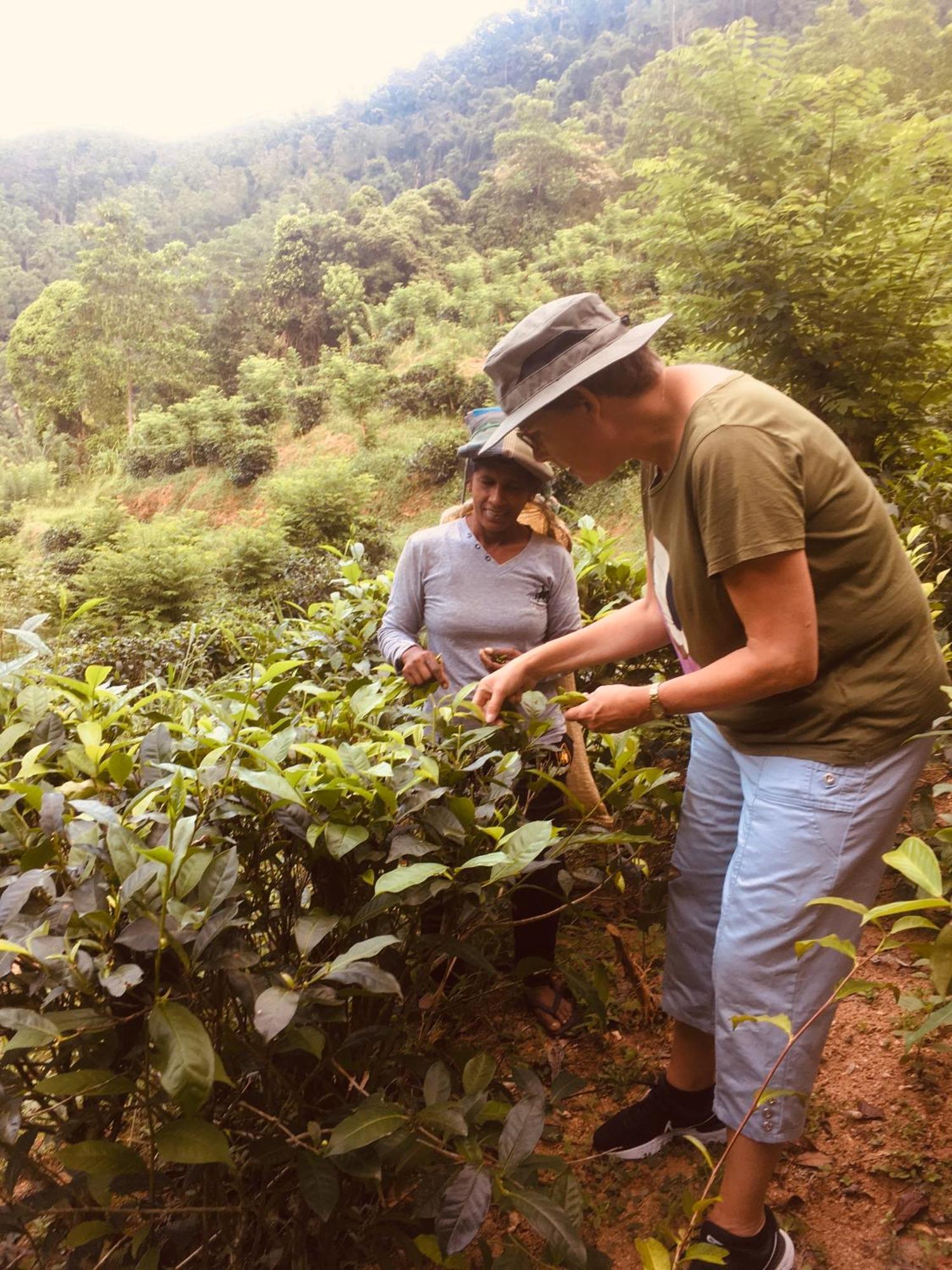 Paradise Eco Garden 키둘가라 외부 사진