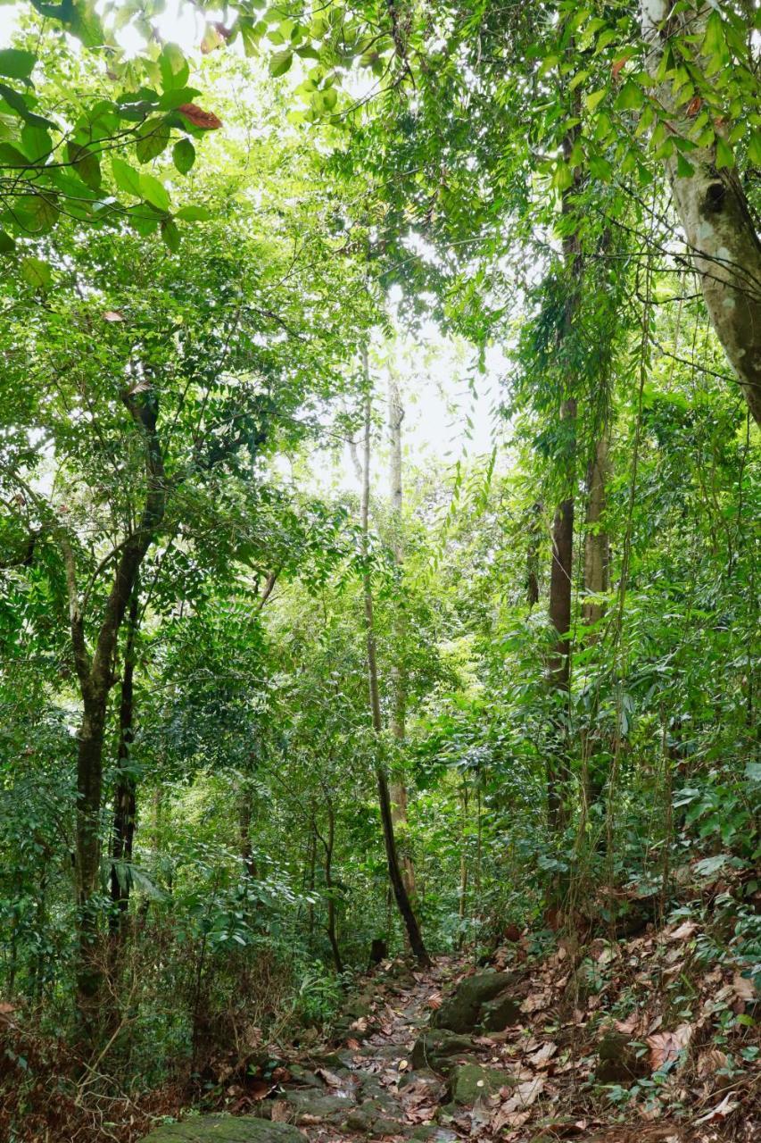 Paradise Eco Garden 키둘가라 외부 사진