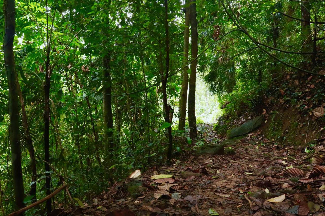 Paradise Eco Garden 키둘가라 외부 사진