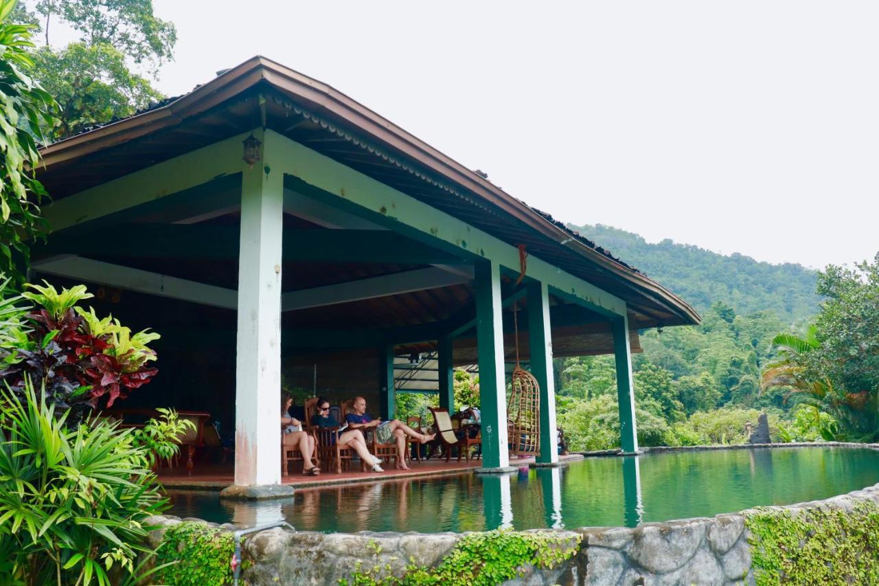 Paradise Eco Garden 키둘가라 외부 사진