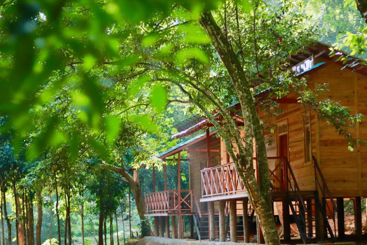 Paradise Eco Garden 키둘가라 외부 사진