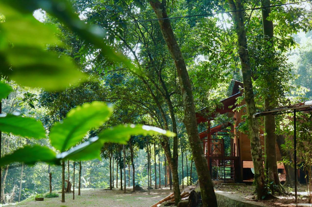 Paradise Eco Garden 키둘가라 외부 사진