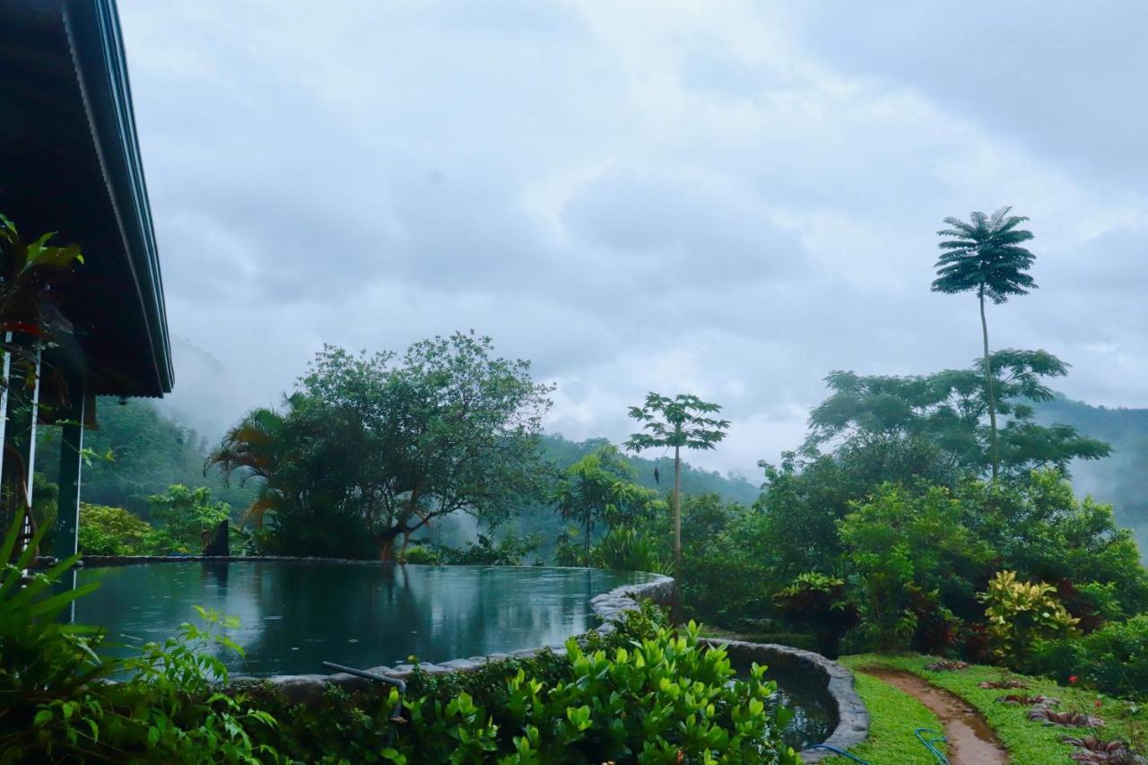 Paradise Eco Garden 키둘가라 외부 사진
