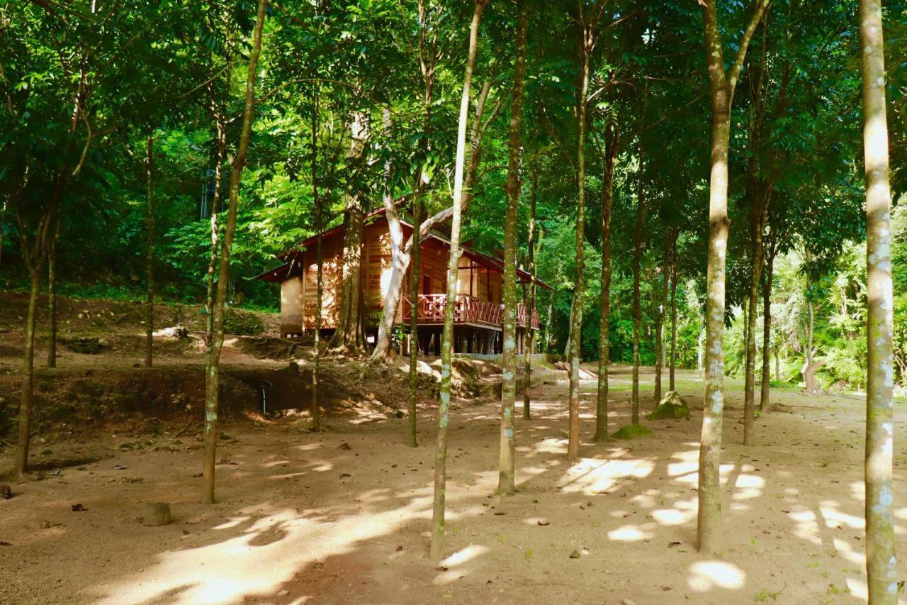 Paradise Eco Garden 키둘가라 외부 사진