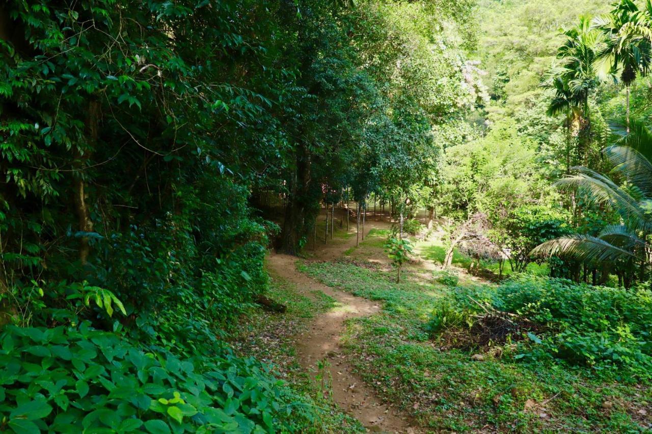 Paradise Eco Garden 키둘가라 외부 사진