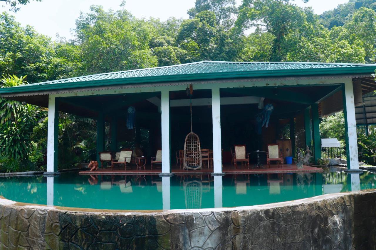 Paradise Eco Garden 키둘가라 외부 사진
